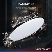 LED Ceiling lamp Smart WiFi + BLE 25W CCT - 2600lm - IK10 - Ø308 cm - Black - IP65