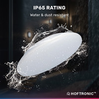 LED Smart Ceiling lamp WiFi + Bluetooth 18W CCT - 1800lm - IK10 - Ø30 cm - White - IP65