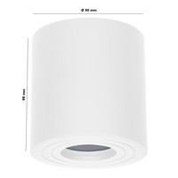 Paxton - LED plafondspot opbouw - Rond - Wit - Aluminium - IP65 geschikt voor badkamer en keuken - GU10 fitting - 3 jaar garantie