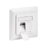 NET CAT6 Netwerkdoos UP inbouw universeel wit voor CAT6 internetkabels - ethernet kabel - CAT kabel - keystone geschikt - RJ45