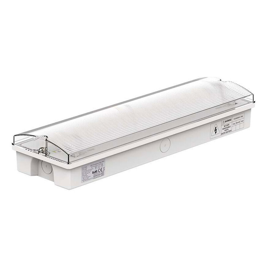 Ceiling mounted 2024 emergency lights