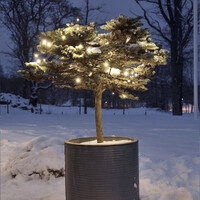 LED Kerstverlichting buiten - Amber 2200K - koppelbaar - 50 LEDs - 5 meter