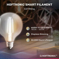 2x Smarte Glühbirne E27 - G95 - Wifi & Bluetooth - 806lm - 7 Watt - Warmweiß bis Kaltweiß