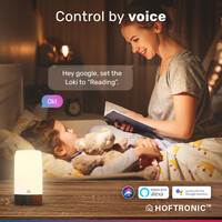 Loki smart LED table lamp - RGB - WiFi & Bluetooth - Flow Color - Ambient lamp - Music controlled - 8 Watt - Google assistant & Amazon Alexa - Indoor