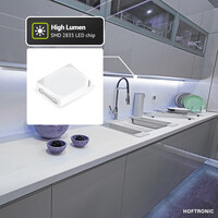 Dimbare LED Strip 25m - Lichtslang 6000K - 60 LEDs/m - IP65 voor buiten en binnen - SMD 2835 - Flex60 Series