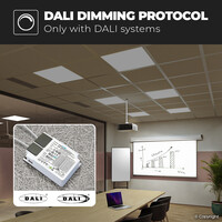 LED Paneel met Dali driver - Dimbaar - 62x62 cm - 36 Watt - 4320lm (120lm/W) - 4000K neutraal wit - Flikkervrij - UGR19 - 5 jaar garantie