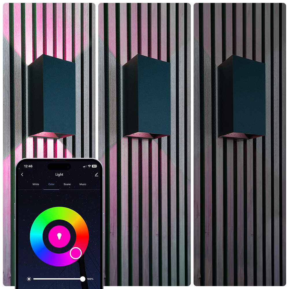 Miles XL smart wandlamp buiten - RGB + WW - LED wandlamp - WiFi+ Bluetooth - Dimbaar - 20 watt - IP65 - Zwart - Binnen en buiten voor binnen en buite