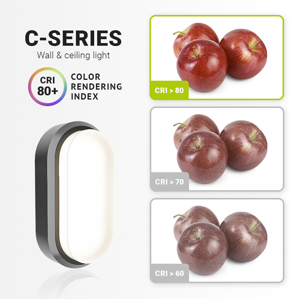 Set van 2 C-Series - LED Plafondlamp zwart ovaal - Wandlamp - Scheepslamp - IP54 - 12W - 1160lm - 4000K neutraal wit - voor binnen en buiten voor bin