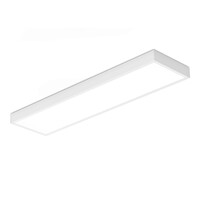 LED Paneel - 30x120 cm - 36 Watt - 4860lm (135lm/W) - 4000K neutraal wit - Incl. opbouwframe - UGR19 - Flikkervrij - 7 jaar garantie - Boke driver