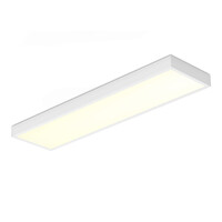 LED Paneel - 30x120 cm - 36 Watt - 4860lm (135lm/W) - 3000K warm wit - Incl. opbouwframe - Flikkervrij - UGR22 - 5 jaar garantie