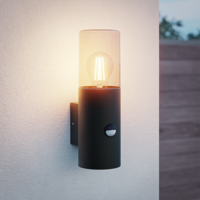 Blaze PIR LED wandlamp smoked glas - Schemer- en bewegingssensor - ex. E27 lichtbronnen - max. 15 Watt - Up Light - Muurlamp - Muurverlichting - IP44 voor binnen en buiten – Zwart