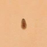 Ivan Leathercraft Pear shader figuurstempel 6,8 x 11,8mm