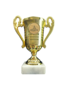 Experience Factory Mini Trophy 1pc gold
