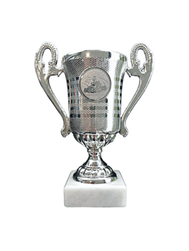 Experience Factory Mini Trophy 1pc silver