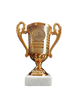 Experience Factory Mini Trophy 1pc bronze