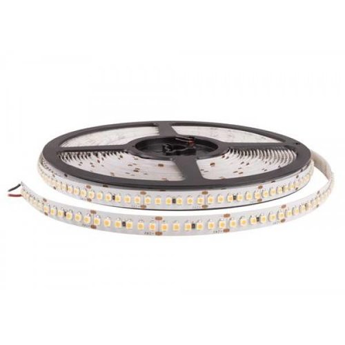 Lucente Ledstrip op rol 14,4W 10M 24V