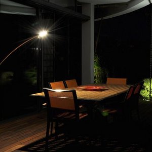 Dexter Dexter Moon light