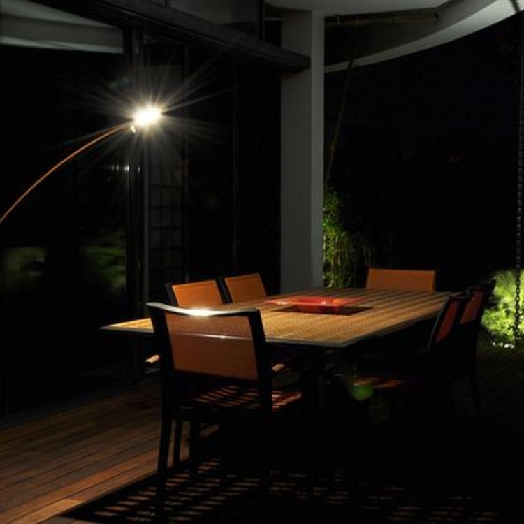 Dexter Dexter Moon light