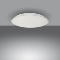 Febe plafond-wandlamp