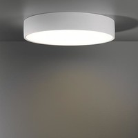 Plafondlamp  Flat moon 450