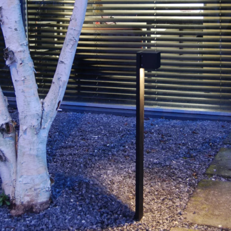 Dexter pole