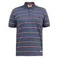 Duke/D555 Polo 611309 5XL