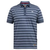 Duke/D555 Polo 611500 6XL