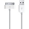 Apple Thuislader + USB Kabel iPhone/iPad/iPod