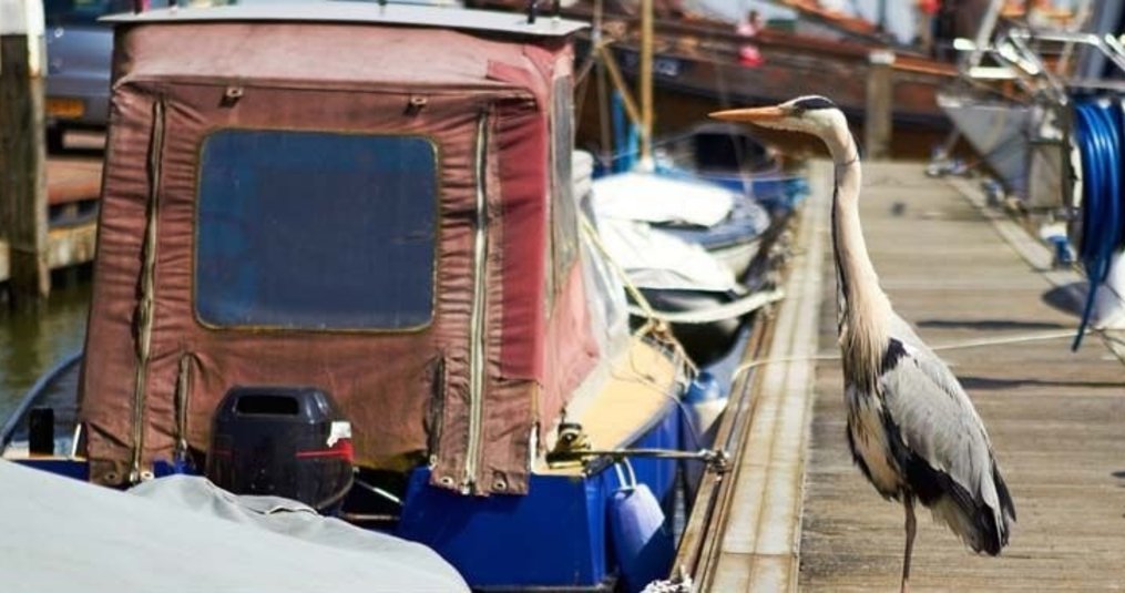 Conseils de nettoyage des housses de bateau (25 000 housses de bateau nettoyées)