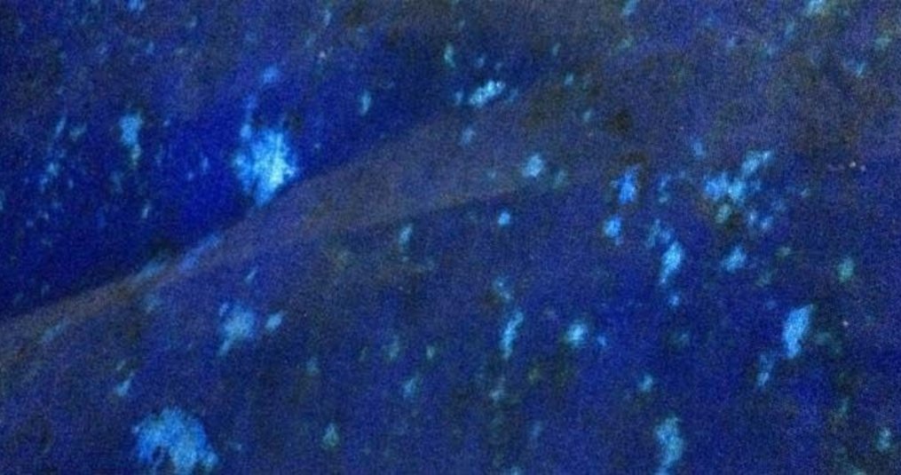 Help! There is mold on my canvas!