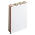 Skantrae Binnendeur SKH 250 (HPL wit F1040)