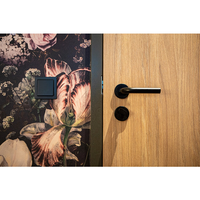 Binnendeur HPL Natural Oak F1079