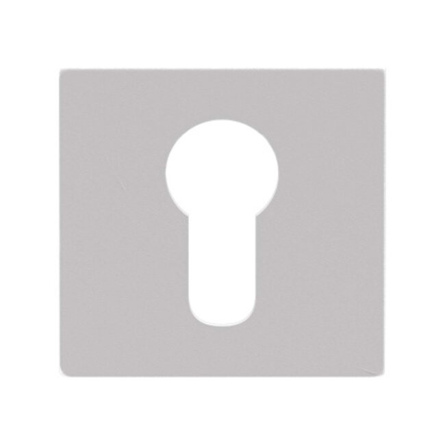 Skantrae Cilinderrozet Squared Regular wit