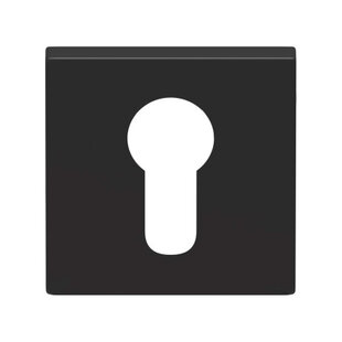 Cilinderrozet Quadrate Regular zwart