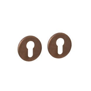 Cilinderrozetten rond PVD brons