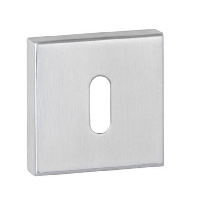 Deurkruk Daan mat RVS