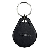 NTAG213 Sleutelhanger Zwart met Logo