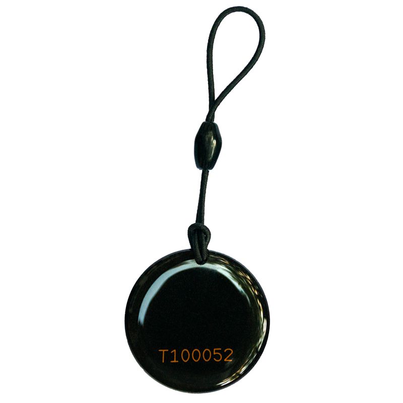 NTAG213 Epoxy Sleutelhanger met laser-volgnummer