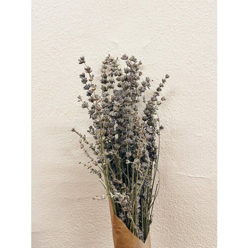 Uma Cantik Lavendel - Gedroogde Bloemen