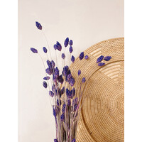 Phalaris - Purple Gedroogde Bloemen