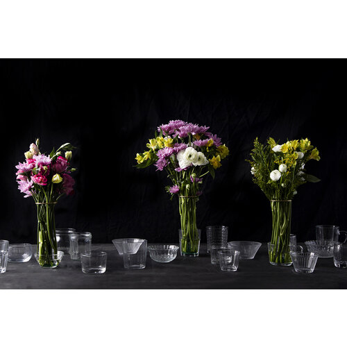 Peleg Design Peleg Design Invisivase