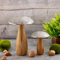 Prachtige 2-delige set paddenstoelen