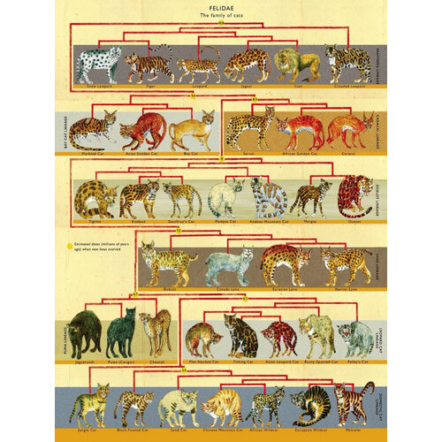New York Puzzle Company New York Puzzle Company Feline Family Tree