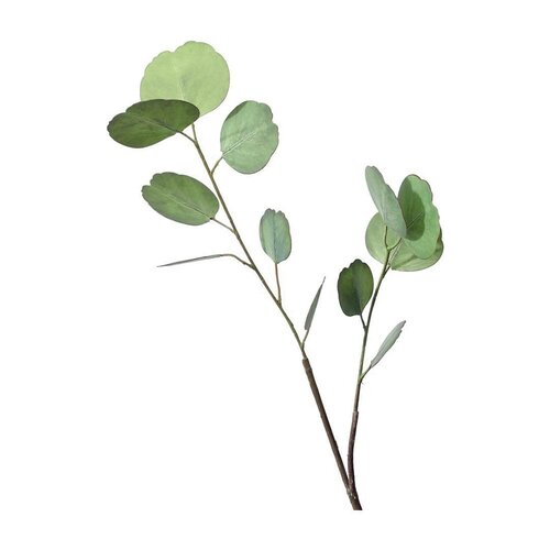 Aulica Decoratieve Lichtgroene Eucalyptus