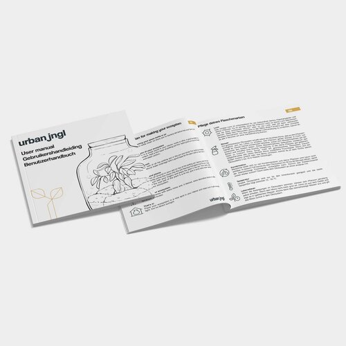 Trendhero DIY Terrarium Kit - Asperges - Flessentuin