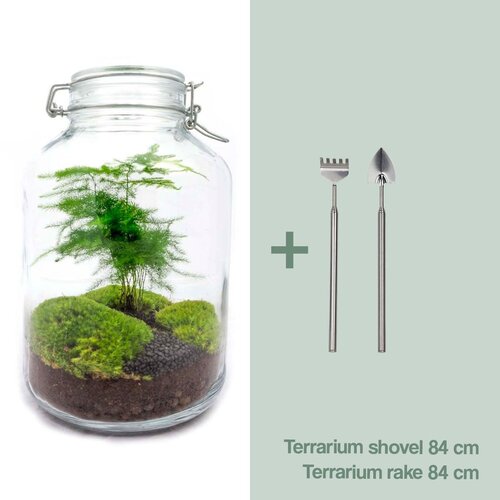 Trendhero DIY Terrarium Kit - Asperges - Flessentuin