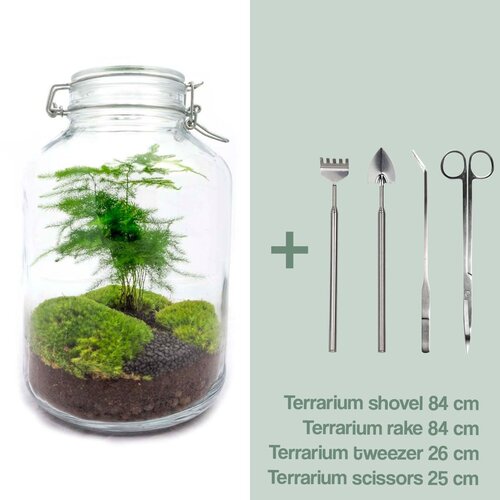 Trendhero DIY Terrarium Kit - Asperges - Flessentuin