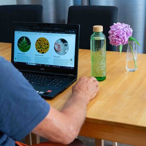 CARRY BOTTLES Glazen fles - Green Harmony - 0,7 L