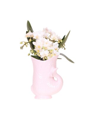 Kolibri Company Kolibri Orchids - Witte Orchidee - Fish Pot Roze