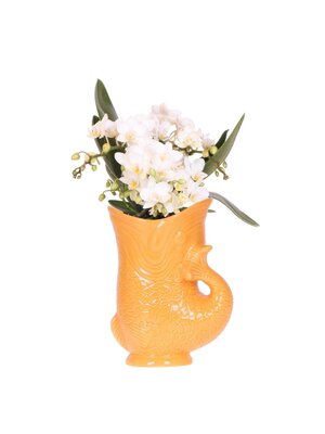Kolibri Company Kolibri Orchids - Witte Orchidee - Fish Pot Oranje